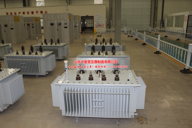 新蔡S20变压器